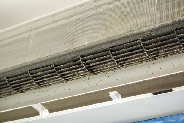 Best Best Air Duct Cleaning Company  in Cedar Falls, IA